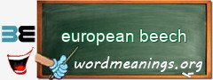 WordMeaning blackboard for european beech